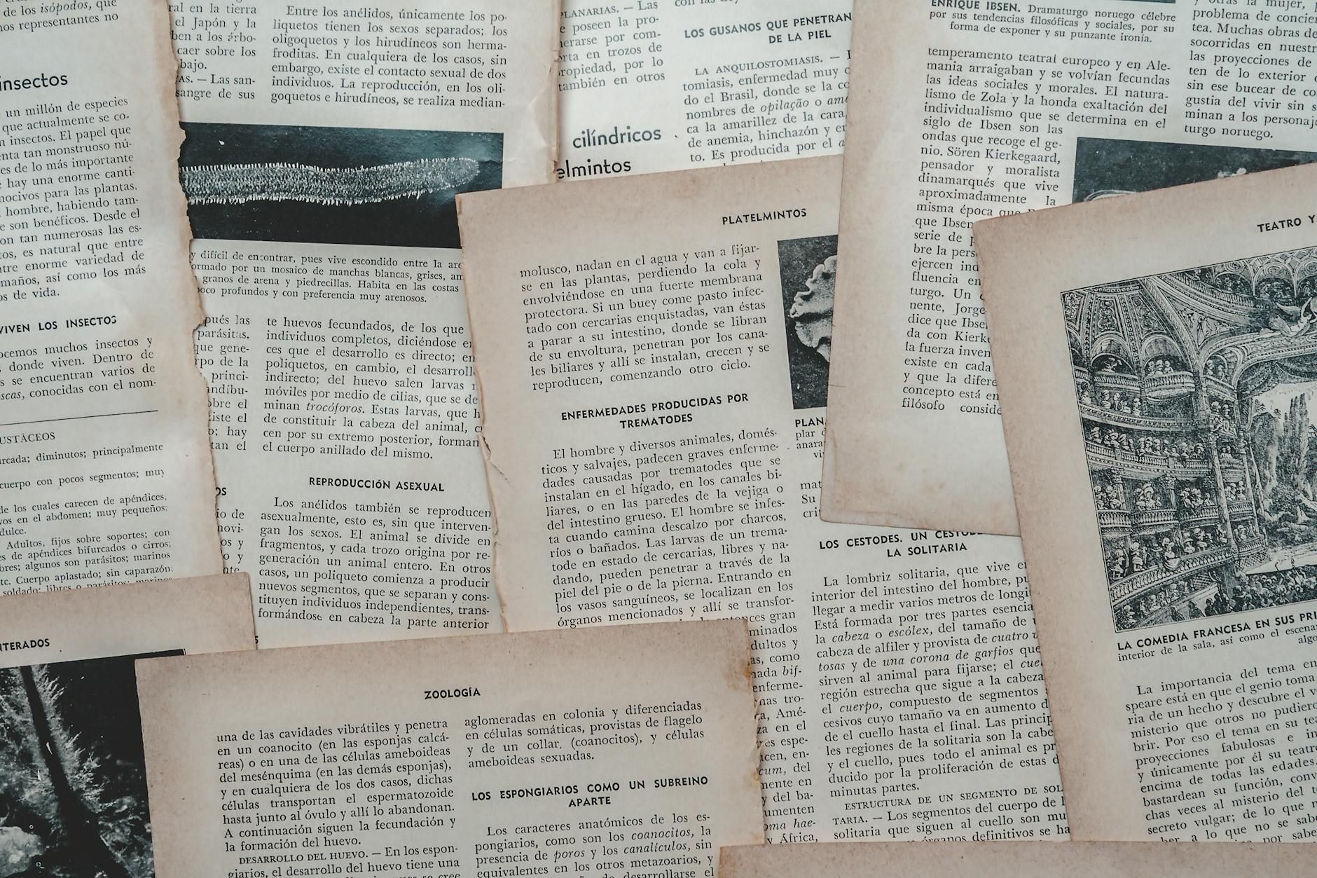 Arturo  A / PEXELS Ausstellungsführung „arbeit 1938–1945“ und Workshop „Jugend im Nationalsozialismus“